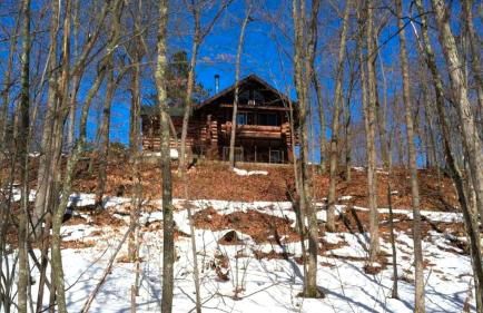 Custom-Built Family Cabin in Manistee National Forest, Michigan - Foto 2