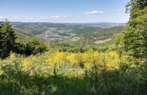 Ferienwohnungen Ingrid Alfes - Foto 31