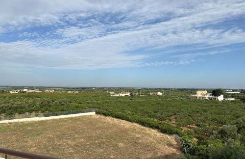 Attico al Sovrano - Nel cuore della Puglia! - Foto 28