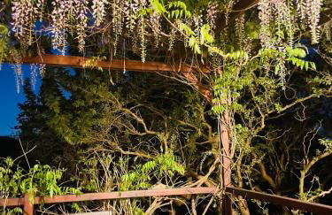 Uroczy dom i bezpłatny parking - Foto 41