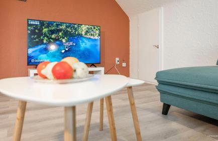 XXL Design-Appartement Gardendesign Boxspring 8 Pers Zwischen Heidelberg und Mannheim - Foto 14