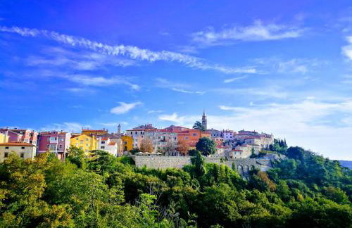 Studio Apartment Nature - Photo 22