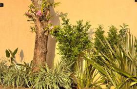 Casa Moderna com Itens de Lazer - Foto 5