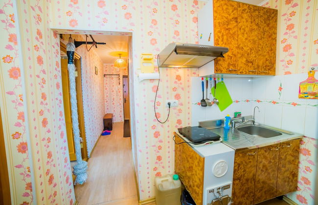 Apartment on Admirala Fokina 3 - Photo 3