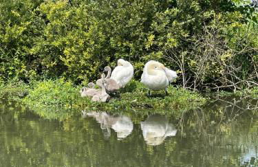 A Casa di Bruna - Foto 72