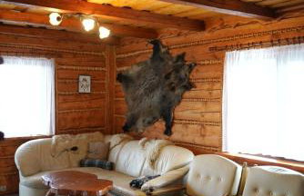 Domek u Johnnego - Foto 3