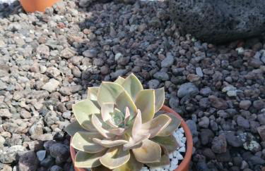 A Casa da Formosinha - Photo 28