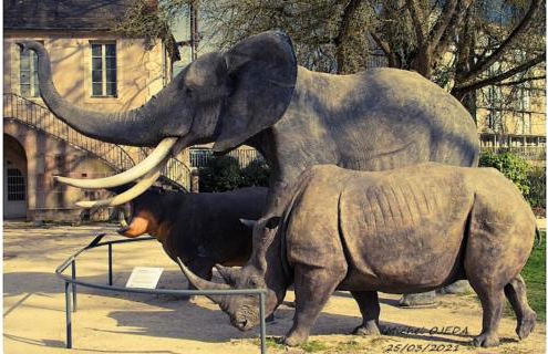 Le jardin des plantes - Foto 12