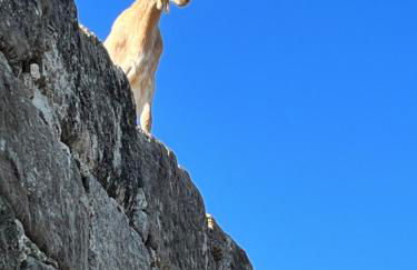 Casa de Aldeia - Foto 30