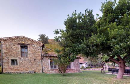 Abejas 1 de El Vergel de Chilla - Foto 7