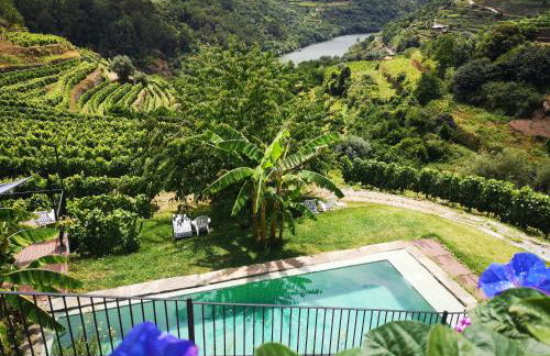 Quinta Barqueiros D'Ouro - Casa da Música - Photo 1