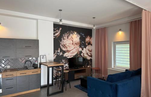 Apartamenty pod Wierzbami - Foto 1