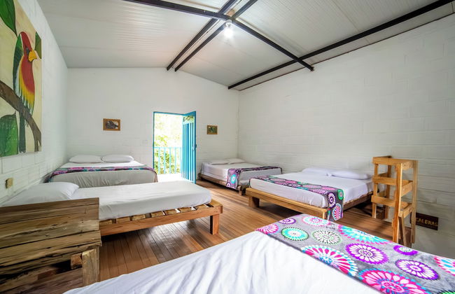 La Posada De Las Aves - Photo 11