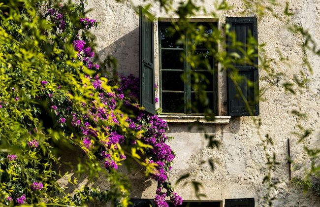 Agriturismo Le Chiusure - Foto 43