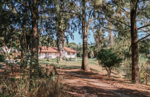 Fantástica Casa de Campo com Piscina perto de Lisboa - Foto 36