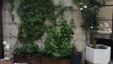 Apartamento con jardin - Photo 1, Other