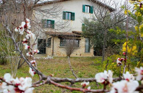 At Aunt Daniela house Oasis on Silence - Photo 36