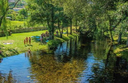 Aromas do Vouga - Foto 22