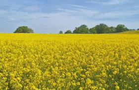 Feriendomizil-Vulkaneifel - Foto 52