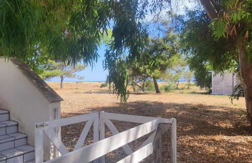 Fronte Mare - Foto 52