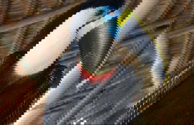 Escursione di 2 giorni alla Reserva Naturale Marasha - Foto 1