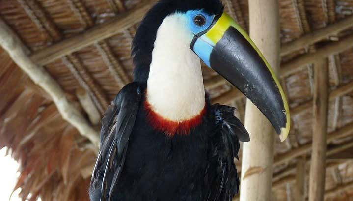 Marasha Nature Reserve 2-Day Tour