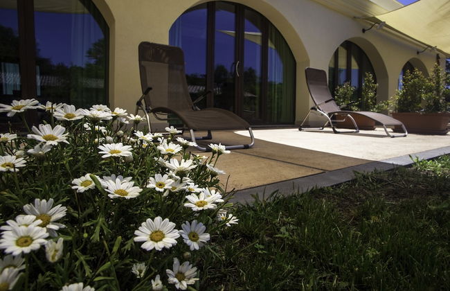 Tenuta Santa Tecla - Foto 17