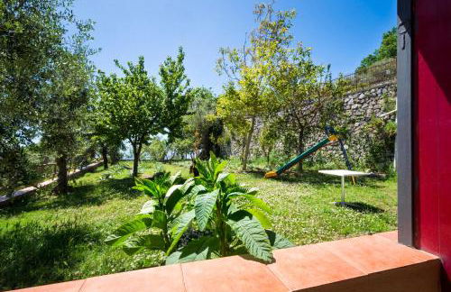 Agriturismo Fattoria Terranova - Foto 136