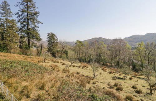 Bwthyn y Coediwr The Woodcutters Cottage - Foto 30