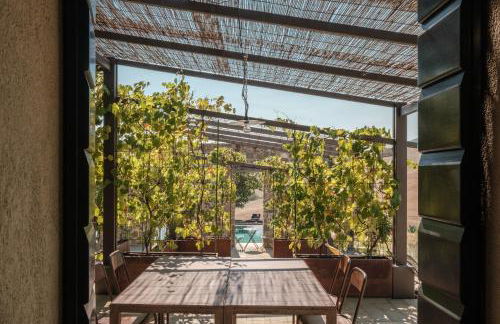 Podere San Pasquale - La Vigna - Foto 7