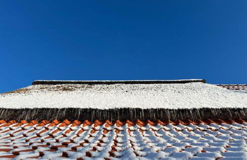 Lindenhuus-Urlaub unter einem Teilreetdach-Terrasse - Nahe Norden-Norddeich - Foto 36