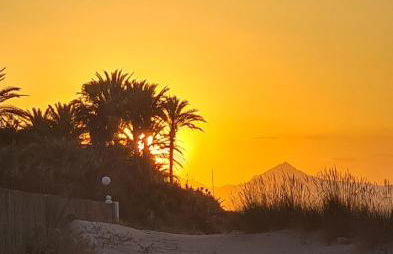 Casa Tumry - Foto 45