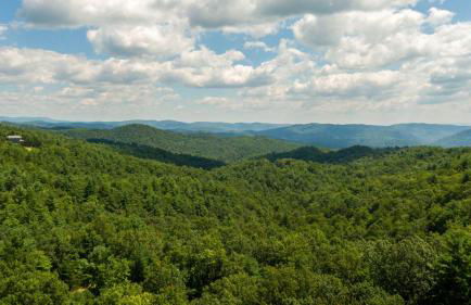 Blue Flower Cabin - Foto 23