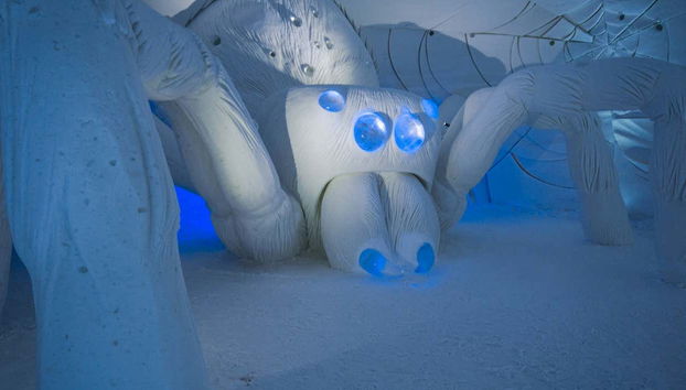 SnowVillage Excursion - Foto 5