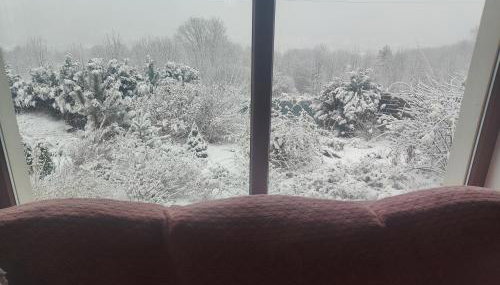 Makowy domek - Foto 3