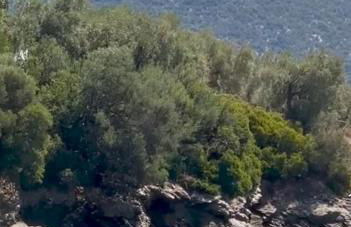 Dreamy Perdika Aegina - Foto 42