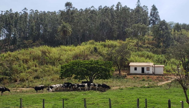 Excursão a Monte Sião, Serra Negra, Amparo e Pedreira - Foto 4, Paisagens do interior paulista