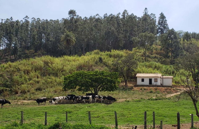 Excursão a Monte Sião, Serra Negra, Amparo e Pedreira - Foto 4