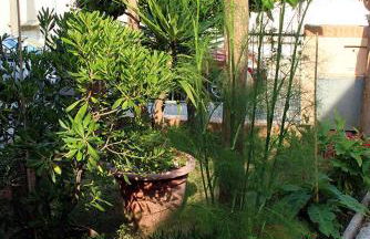 CasaRava Sul Parco 3 Camere 2 Bagni - Foto 47