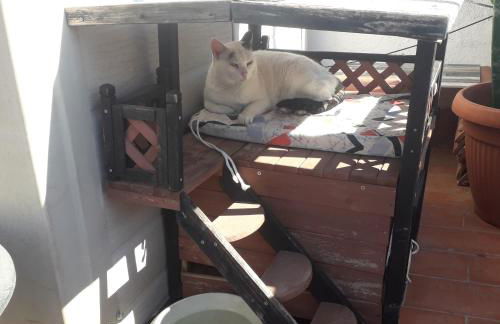 Villanoelia Beach - Foto 37