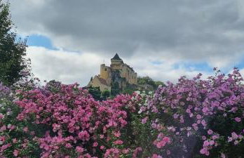Les Roulottes Pomponnaises - Foto 9