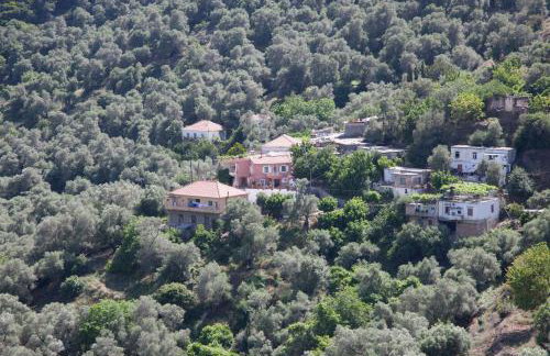 Villa Olea-Renieri - Foto 30