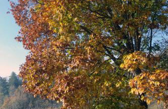 Ca' Becca-Bioglio La casa dei Giardini - Photo 58