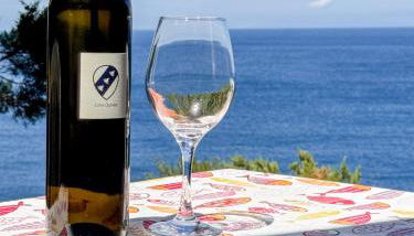 Cota Quinta - Foto 3