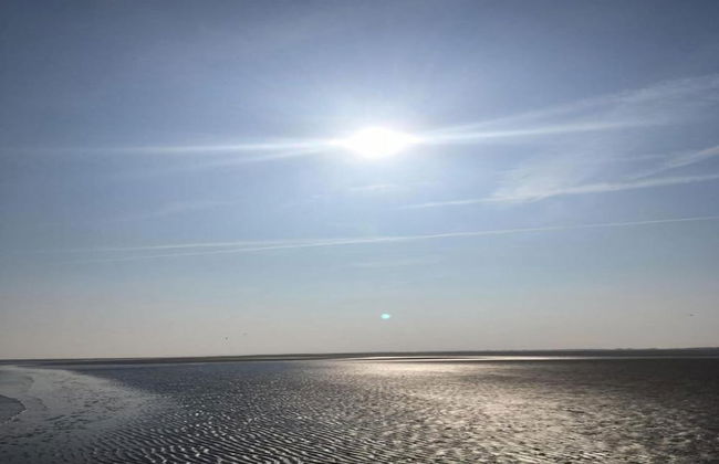 Bungalow in Nes on Ameland With Spacious Terrace - Foto 31