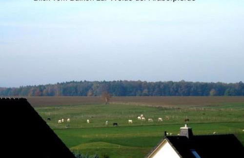 Apartment Haus Heidi by Interhome - Foto 17