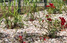 Apartament Pruszcz Park 10 - Foto 19