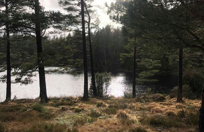 Björsjödal - Foto 72