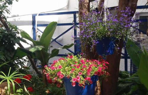 Psaras Apartments - Foto 87