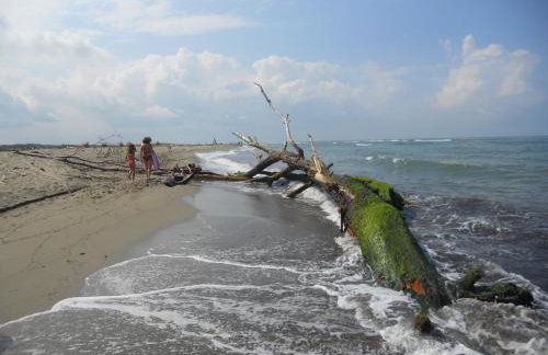 Calci - dal monte al mare - Foto 11